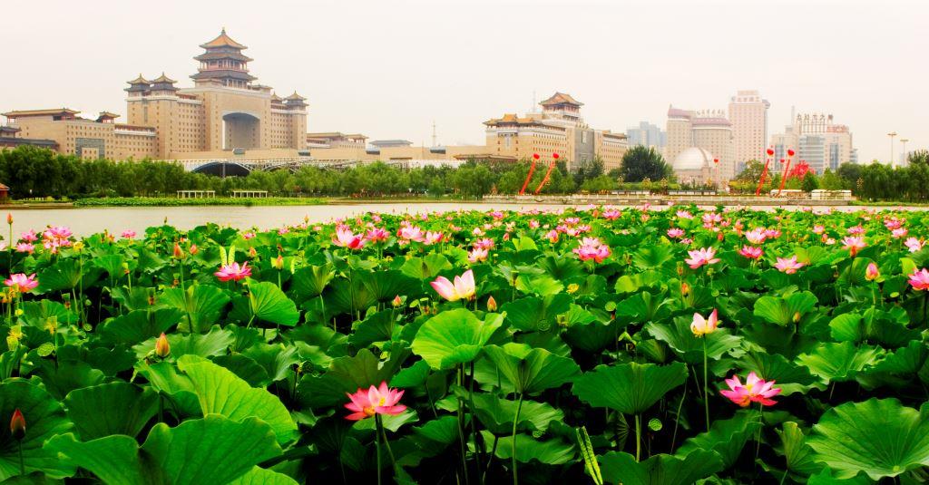 暑假去哪儿便宜,暑假找谁去北京玩