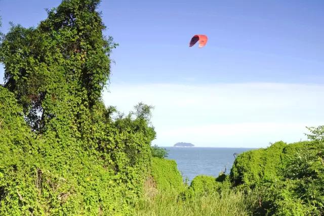 用十年“食光”，去结交一座城