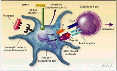 水产益生菌排行榜第一名,水产益生菌十大排名