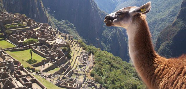 世纪之争解析,世纪之争