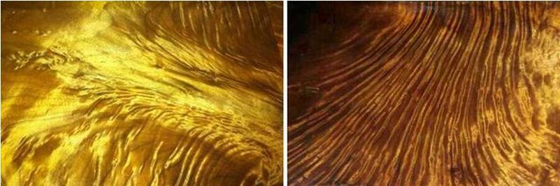 金丝楠木是高档家具材料吗,金丝楠木哪个朝代开始流行的