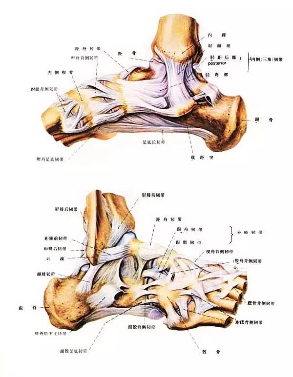 崴脚怎么治才能好得快,崴脚怎么根治
