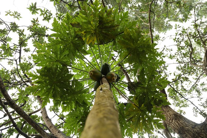 【非洲璀璨明珠】乌干达生活旅游指南