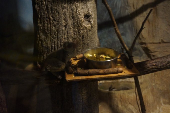 一个人的旅行东京,一个人的名古屋