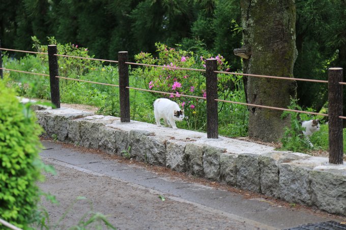 京都攻略,京都深度游玩攻略