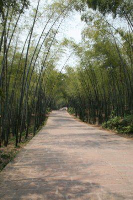 宜宾印象视觉,宜宾印象盐都