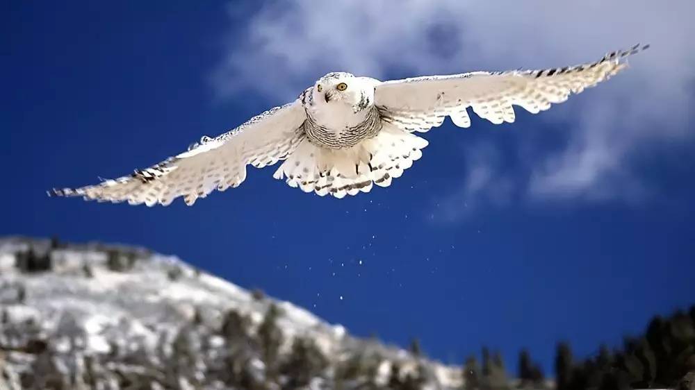 amdrx470性价比,曝amdzen5处理器性能逆天绝了