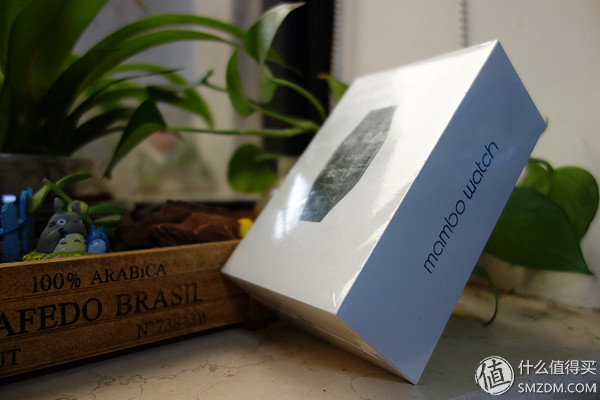 乐心智能手表,乐心手表watch怎么样