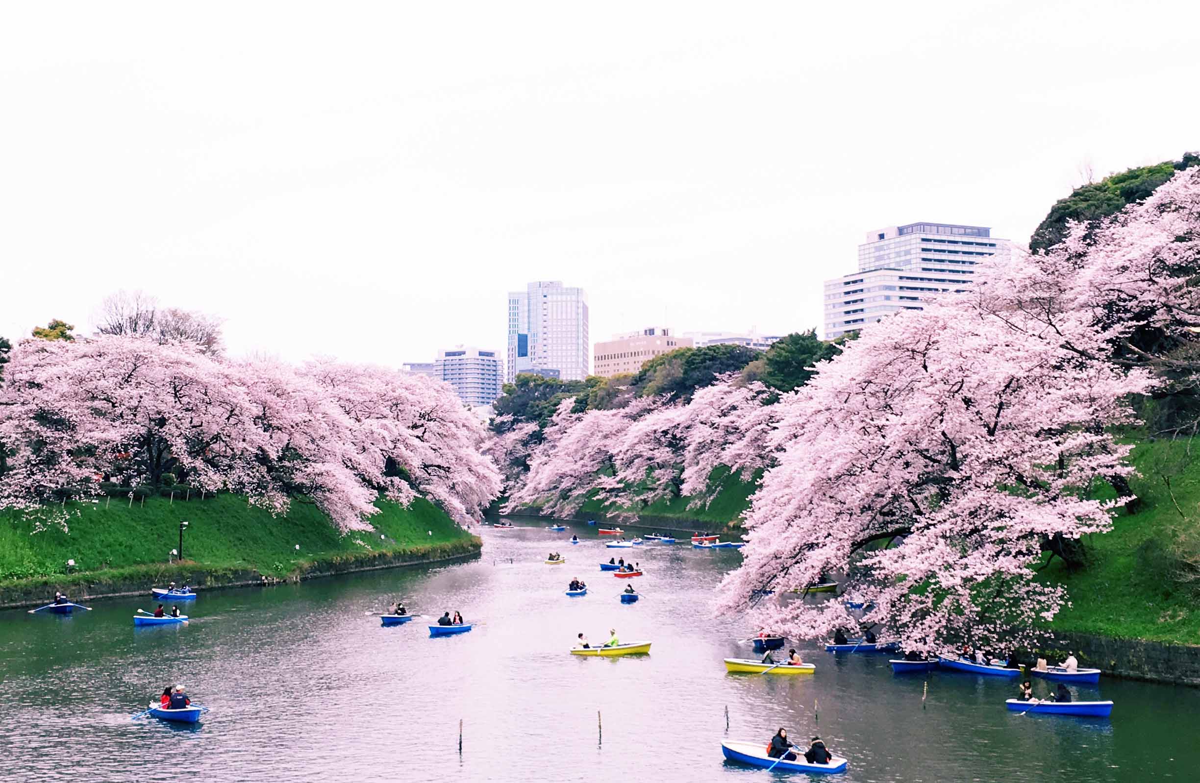 到日本买化妆品可以带回来吗,如果去了日本要注意什么