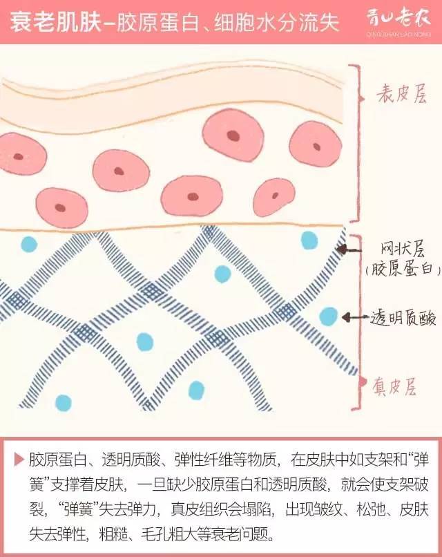 男人脸上也有胶原蛋白,男士如何让自己的脸有胶原蛋白