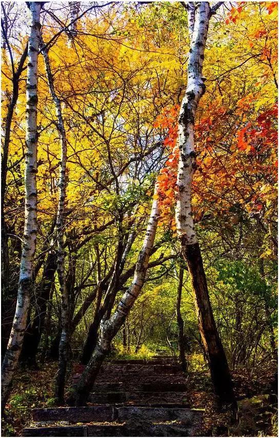 对不起！山西不只有煤，它还有仙本那，九寨沟，德天瀑布，贝加尔