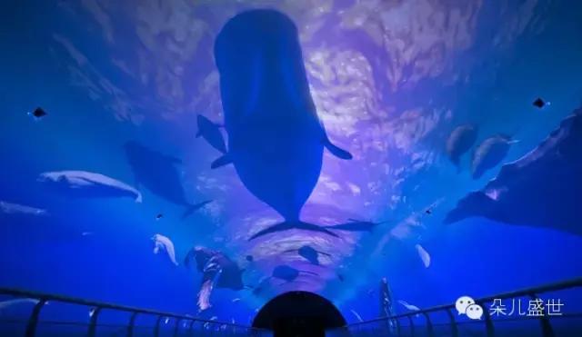 大连追女攻略,日本撩妹成功率最高的城市