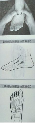 腰椎间盘突出的治疗方法的短视频,腰椎间盘突出的治疗方案有哪些