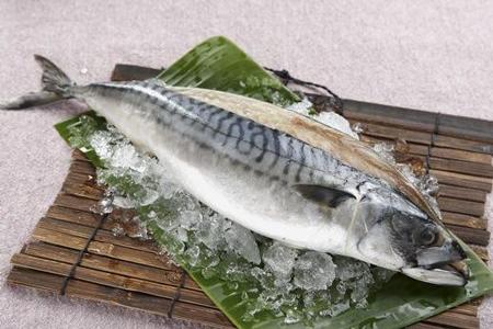 吃鱼健脑养生要分清楚鱼的种类,安全吃鱼常见的10种鱼类营养解析