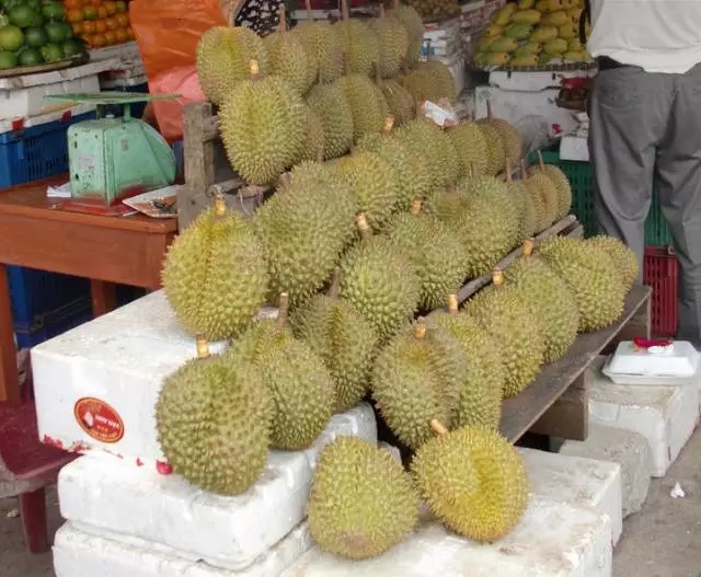 柬埔寨必去景点推荐,柬埔寨旅游必去的九大绝佳景点