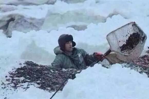 蜜蜡这种东西你真的懂吗,真正的蜜蜡是啥样的