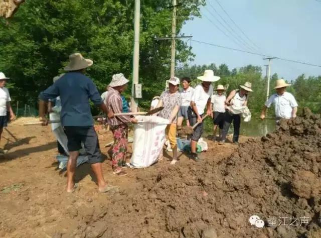 巾帼不让须眉英姿飒爽花木兰,巾帼不让须眉的女英雄花木兰