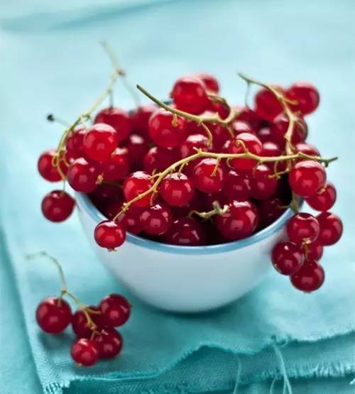 树莓蔓越莓傻傻分不清楚,蔓越莓树莓覆盆子