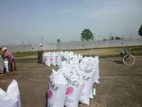 现在在农村做什么最合适,农村人在城里适合做什么