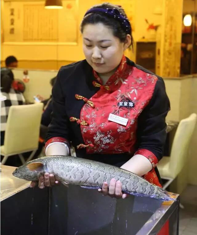 美食匠心,美食每一道工序都是匠心制作