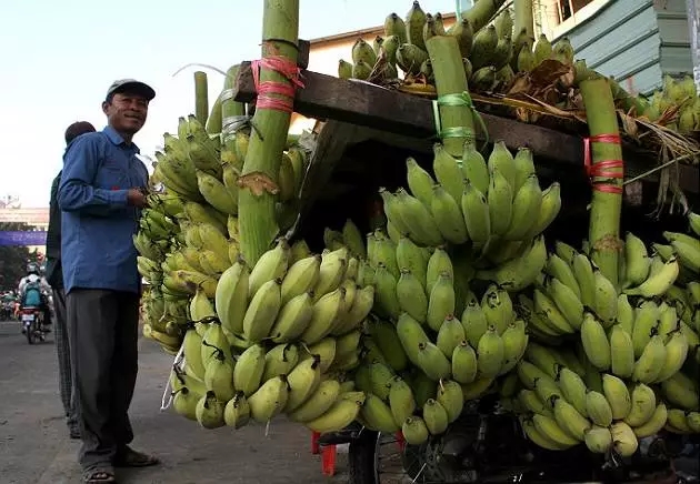柬埔寨游玩推荐,柬埔寨旅游必去的九大绝佳景点