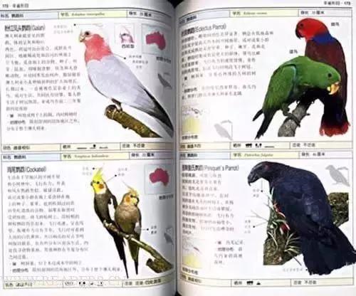 孩子喜欢的动物园,孩子喜欢的动物你绝对想不到