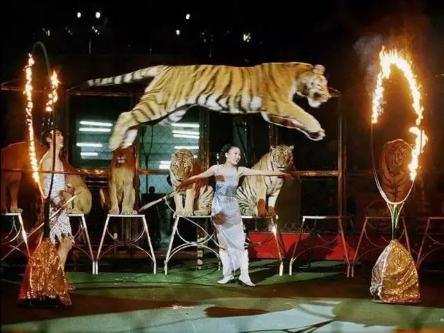 孩子喜欢的动物园,孩子喜欢的动物你绝对想不到