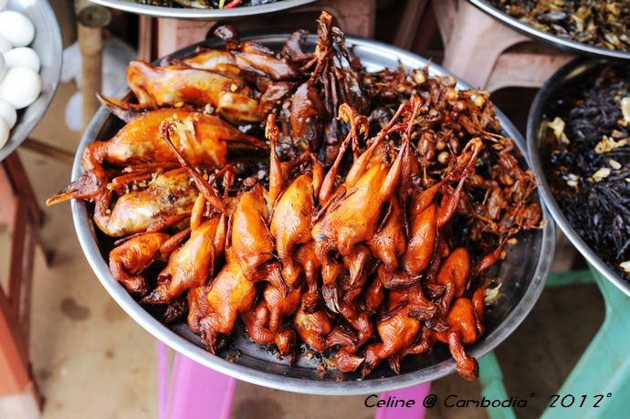 柬埔寨游玩推荐,柬埔寨旅游必去的九大绝佳景点