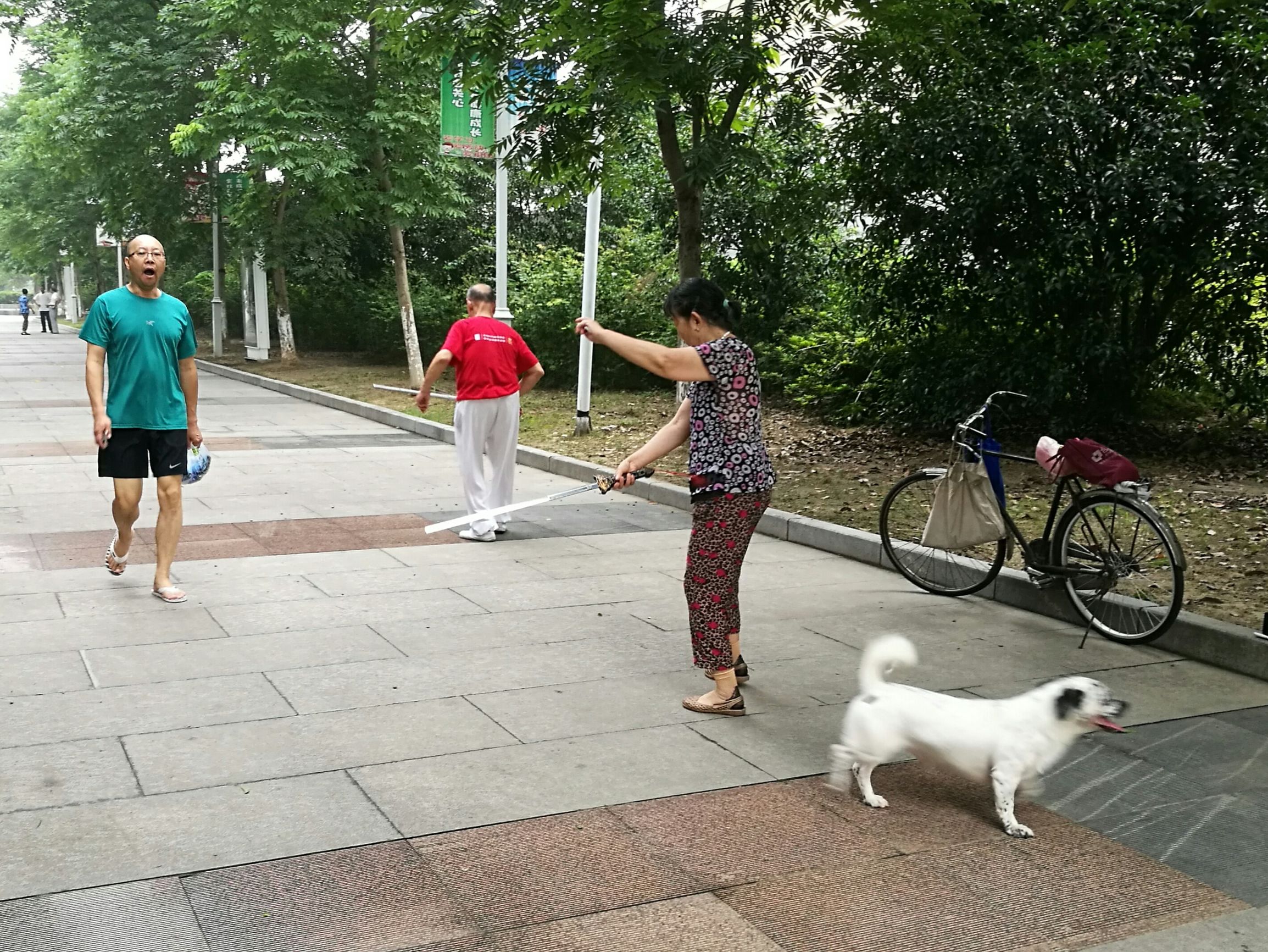 澶箹鏄犺薄涓存箹鍜岃姵婊″涵,鏄犲儚鏉惧北婀栧簵