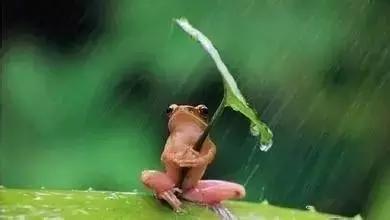 脾虚和脾虚湿气重有什么区别,肝郁脾虚有湿气先除湿吗