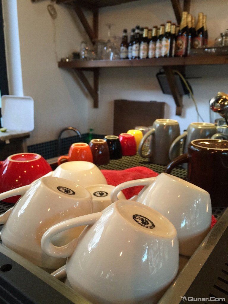 大理无花果好去处,大理路边大叶无花果