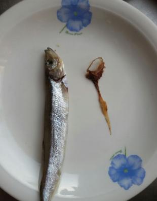 香煎多春鱼老东北,锡纸香煎多春鱼