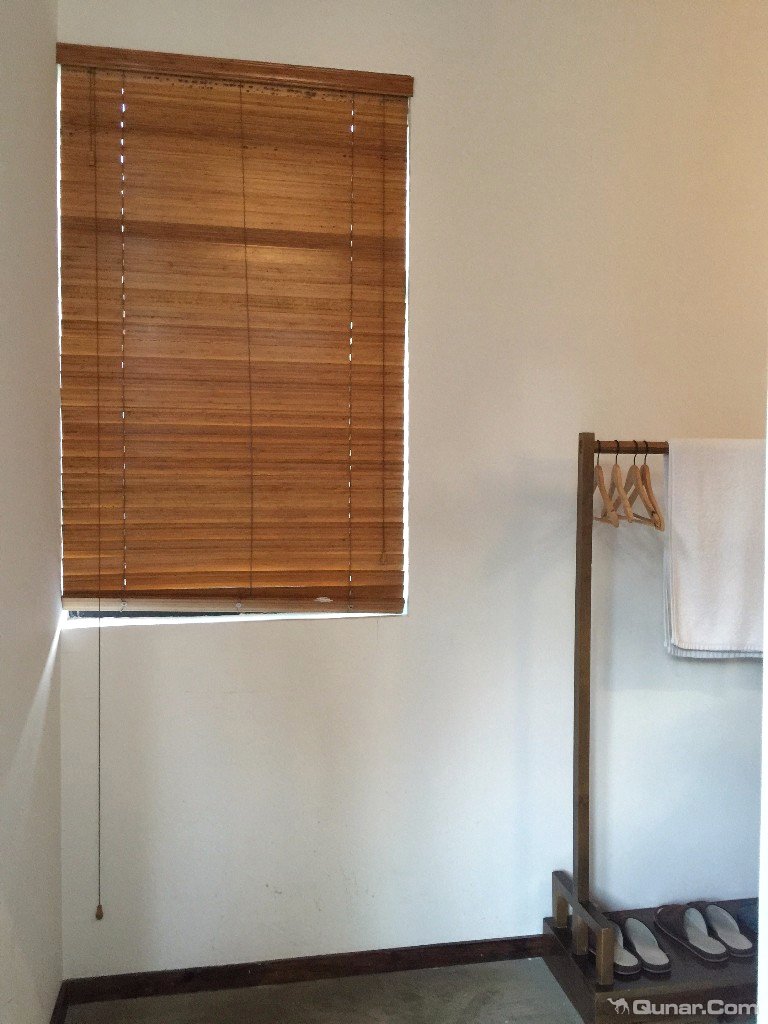 大理无花果好去处,大理路边大叶无花果