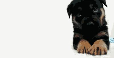 被封杀的日本动漫,东京喰种封杀