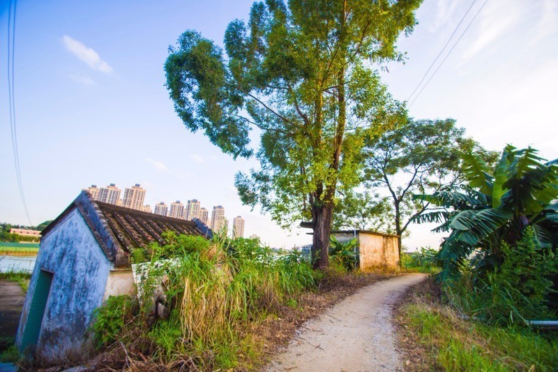 顺德农庄美食推荐,顺德有哪些好吃的山上农庄