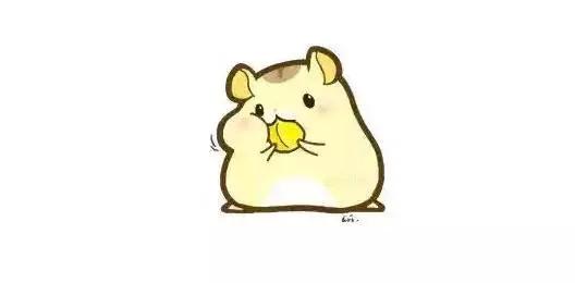 日本化妆水排行榜前十名,日本好用的化妆水推荐