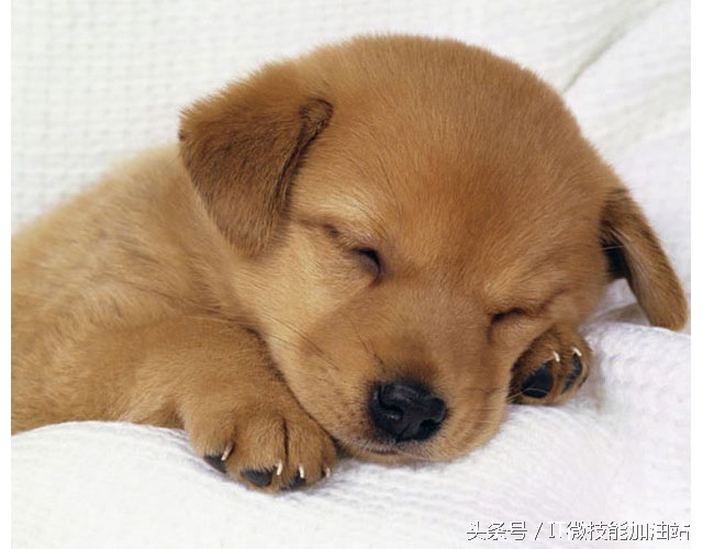 word打印技巧模糊图片变清晰,word文档打印必备十大技巧