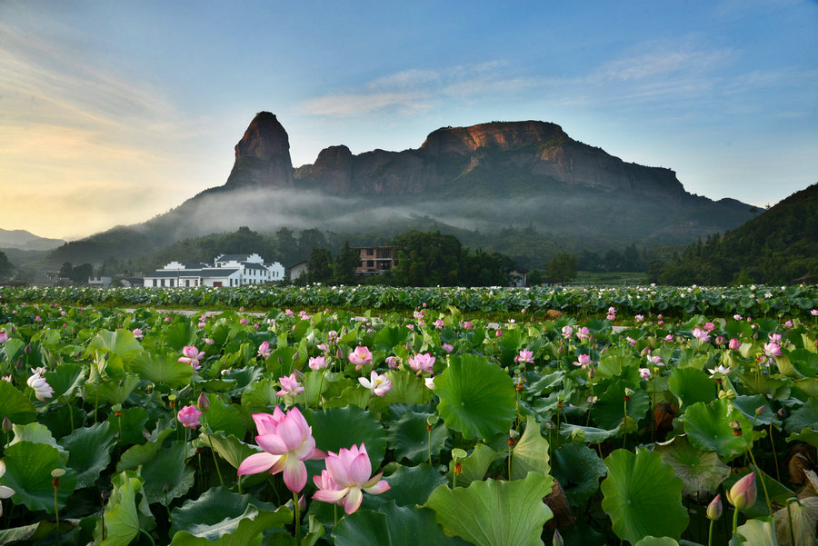 农业电商平台运营思路,农业电商新模式解读
