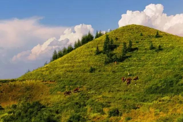 固原摄影风景,宁夏固原唯一印象摄影