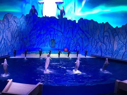 珠海长隆海洋王国游玩攻略暑假,两天一夜珠海长隆海洋王国攻略