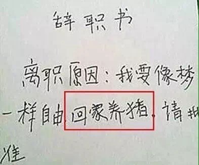 最好最简单的辞职信,最简单最有效的辞职信