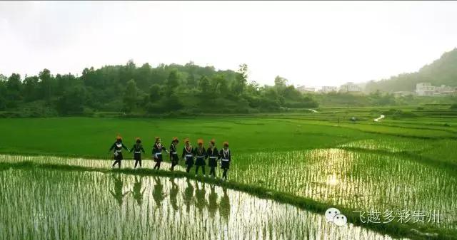 飞越贵州,飞越贵州山川