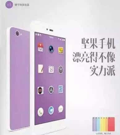 锤子手机罗永浩用了哪些营销手法,锤子科技罗永浩带来的启示