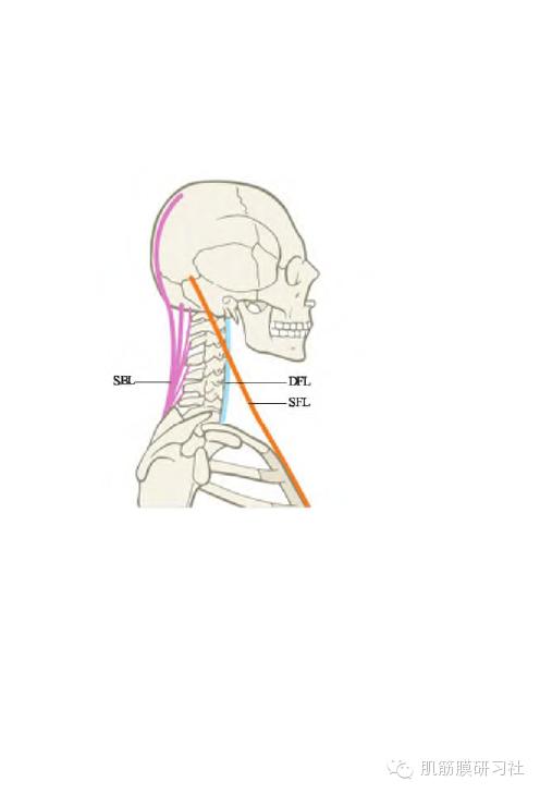 颈椎病国际康复训练,中医讲座颈椎病