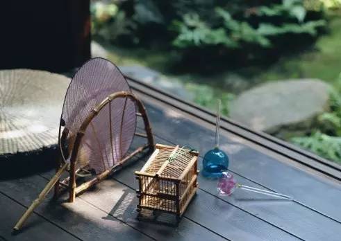 有什么可以制成驱蚊膏,关于蚊子的秘方