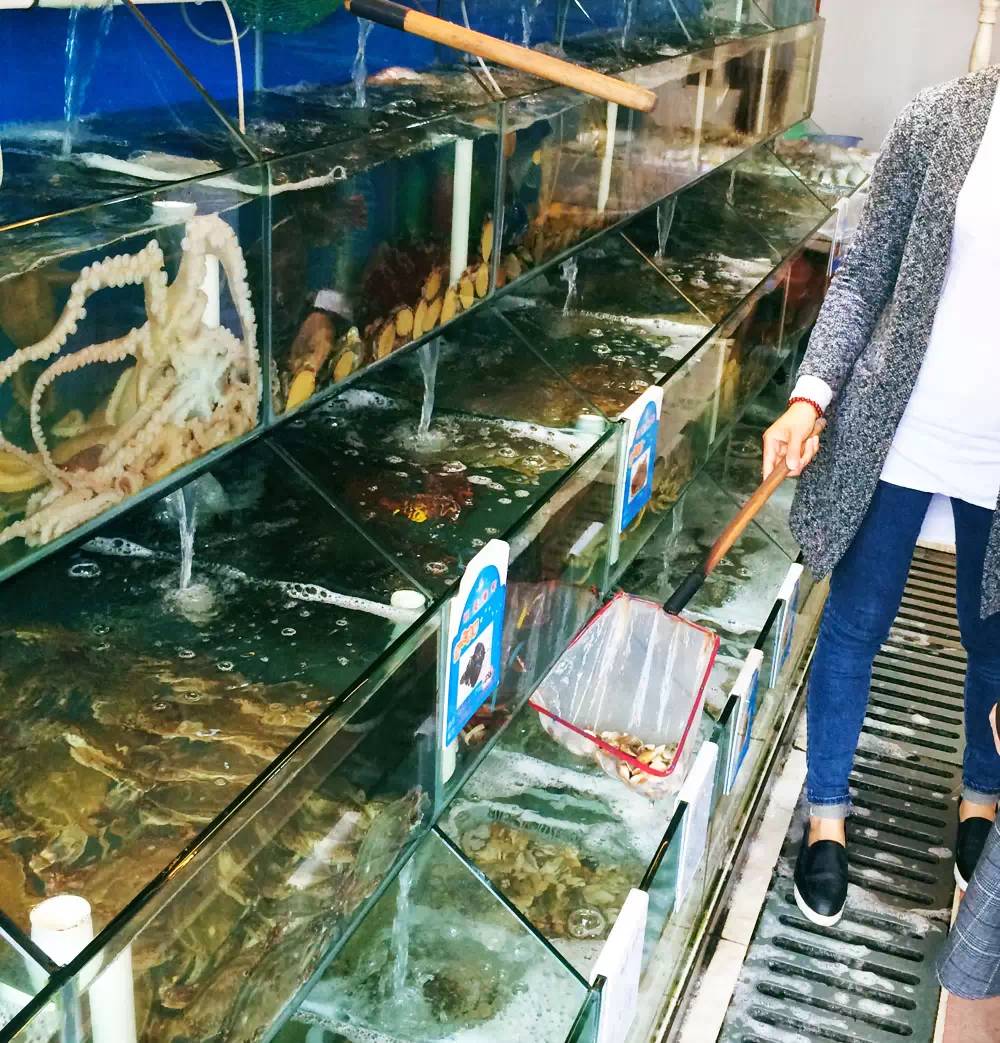 舟山自驾之旅完美收官,自驾游舟山哪个岛最值得去