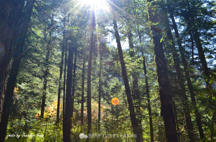 来到大山深处人间仙境,灵气缭绕人间仙境