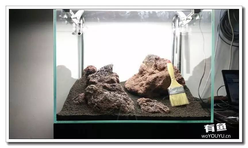 新手小白原生缸开缸教程,鱼缸怎么用高锰酸钾开缸详细教程