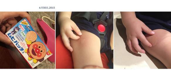 日本最好用的防螨用品,日本十大驱蚊器