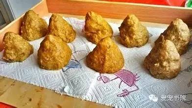 diy狗粮制作方法,自制狗粮怎么包装的好一点